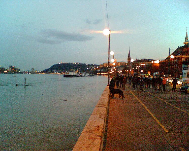 20060403195302.jpg