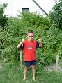 20060722153822