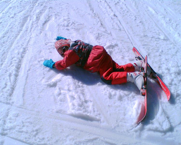 20070315113248.jpg