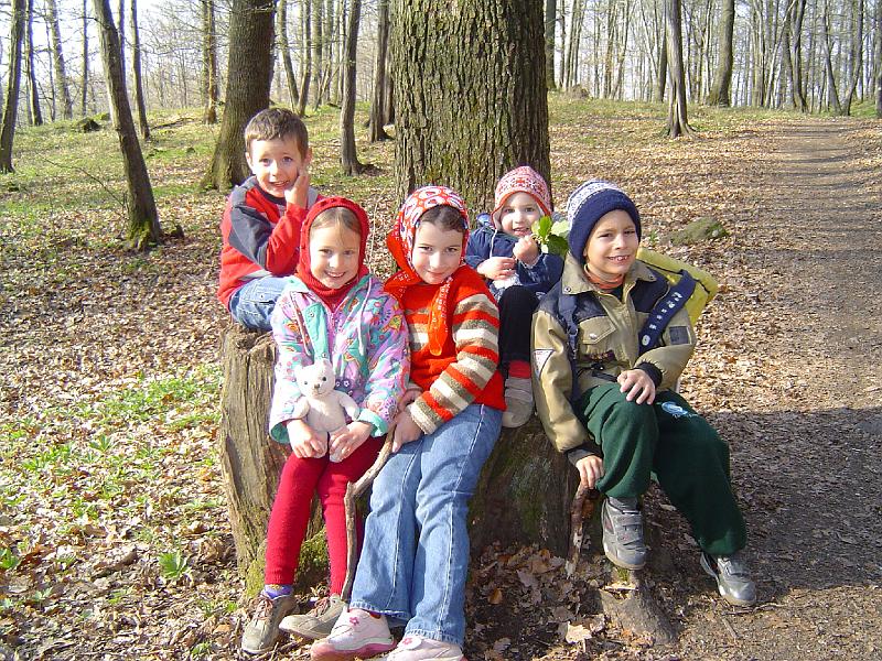 20070407080246.jpg -                                