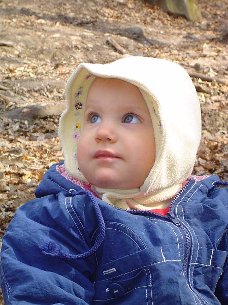 20070407085800.jpg -                                