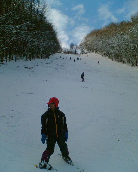 20071118093124.jpg