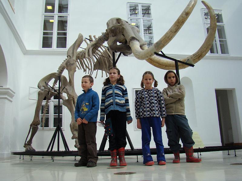 20080321113134.jpg -                                