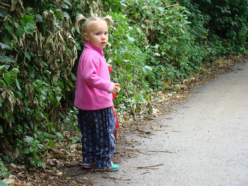 20080607095016.jpg -                                