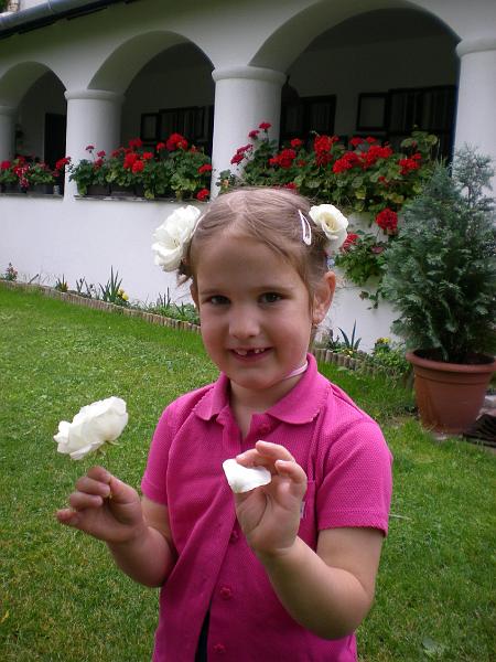 20080608183740.jpg