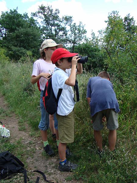 20080719154320.jpg -                                