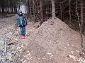 20080321143218