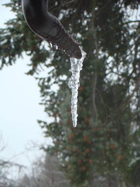 20080106114646.JPG - Csepeg