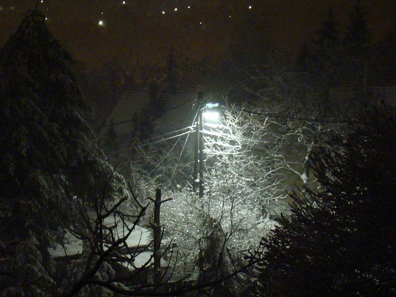 20080108010050.JPG - Ködös