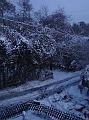 20080102070944