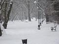 20080101143812