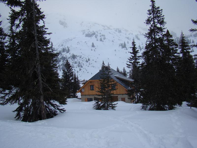 20080215165054.JPG - Ház a fák közt