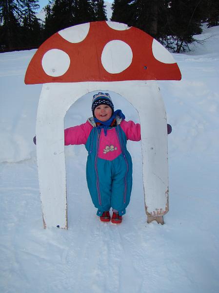 20080216160822.JPG - Kinga, gomba