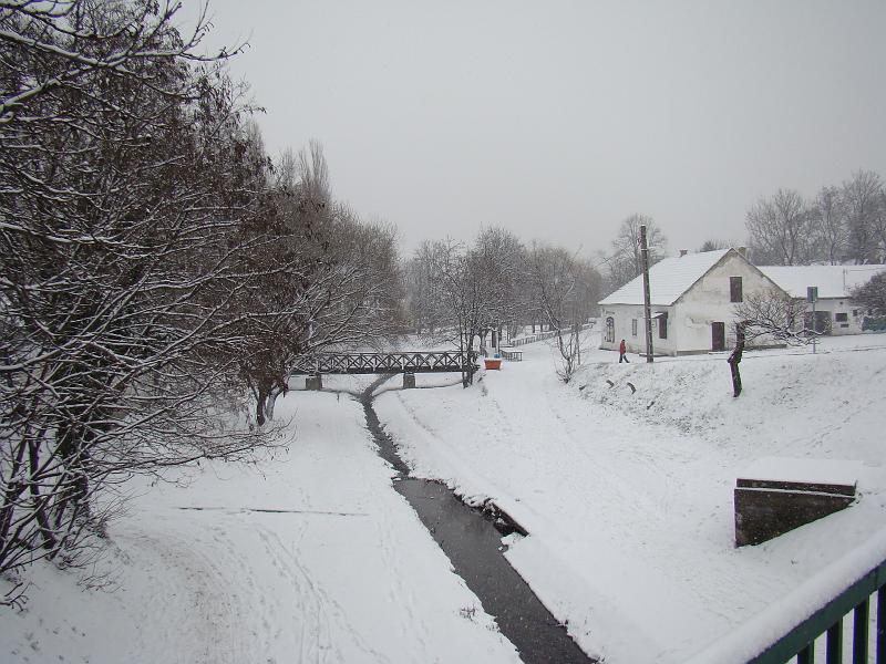 20080101123616.JPG - Bükkös