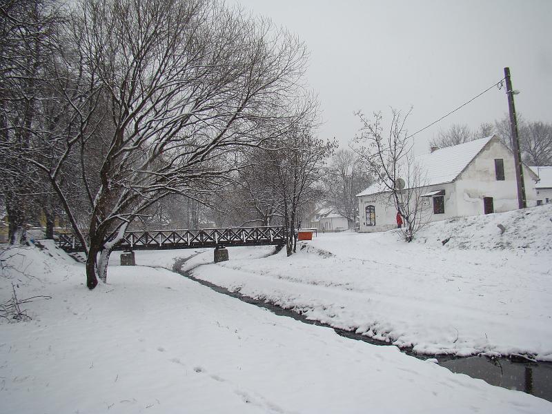 20080101123742.JPG - Bükkös