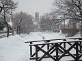 20080101123238