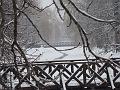 20080101124008